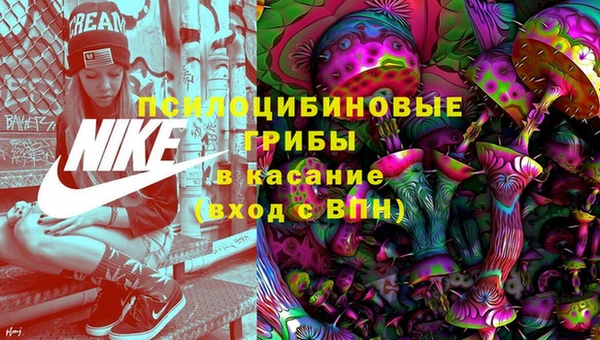 стаф Баксан