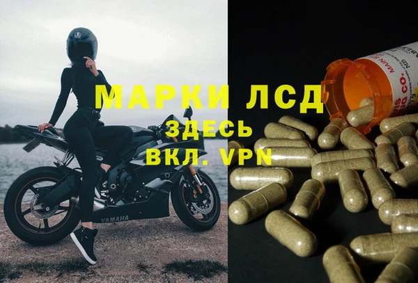 spice Белокуриха