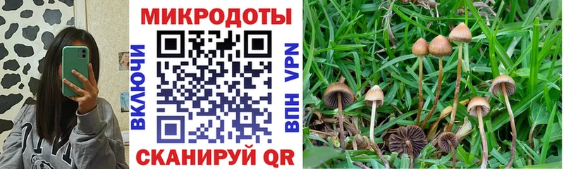 сколько стоит  мега маркетплейс  Псилоцибиновые грибы ЛСД  Демидов 