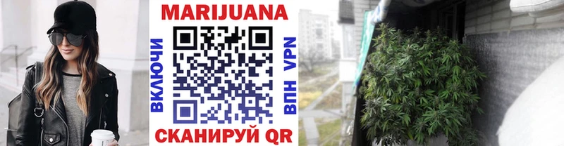 где продают   Демидов  Конопля индика 